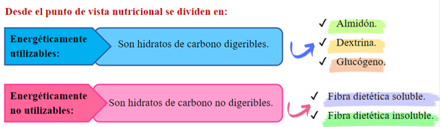 ¿qué Son Los Hidratos De Carbono Cursos Aprende Con Reyhanemk 6387