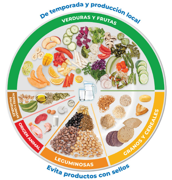 El Plato Del Bien Comer Cursos Aprende Con Reyhan 1910